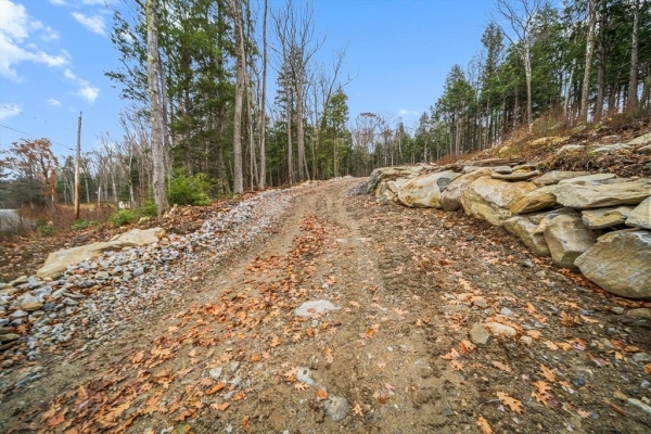 Listing Image #3 - Land for sale at 2439 W Center Rd, Otis MA 01253