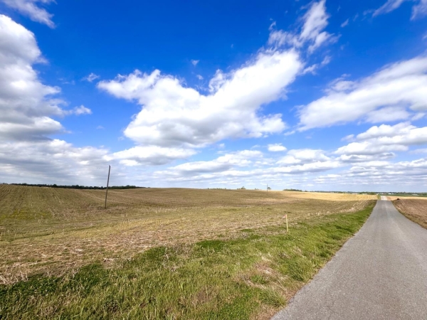Listing Image #1 - Land for sale at 163 McCandless Road, Upton KY 42784