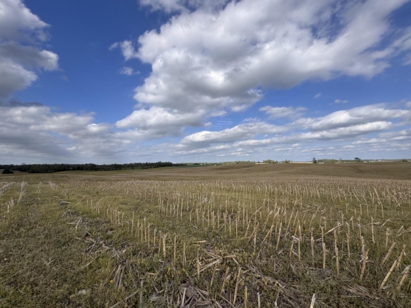 Listing Image #2 - Land for sale at 163 McCandless Road, Upton KY 42784