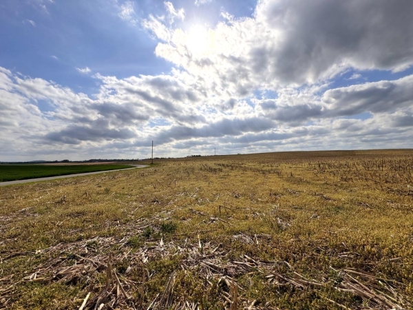 Listing Image #4 - Land for sale at 163 McCandless Road, Upton KY 42784