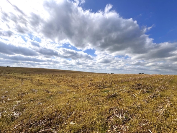 Listing Image #5 - Land for sale at 163 McCandless Road, Upton KY 42784