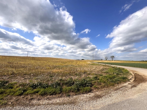 Listing Image #6 - Land for sale at 163 McCandless Road, Upton KY 42784