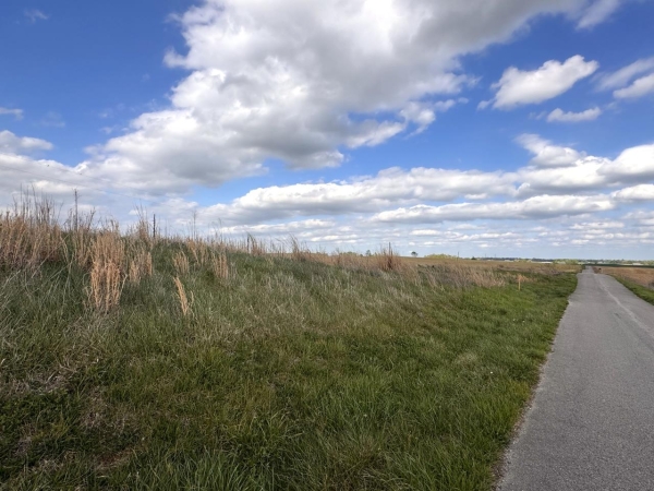 Listing Image #7 - Land for sale at 163 McCandless Road, Upton KY 42784