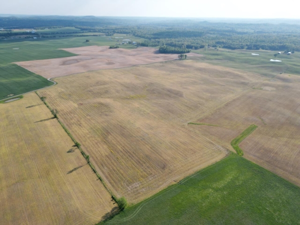 Listing Image #9 - Land for sale at 163 McCandless Road, Upton KY 42784
