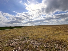 Listing Image #4 - Land for sale at 163 McCandless Road, Upton KY 42784