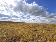 Listing Image #5 - Land for sale at 163 McCandless Road, Upton KY 42784