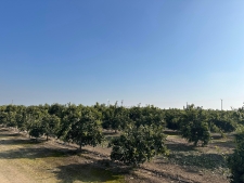 Listing Image #2 - Others for sale at Highway 65 Citrus Ranch Highwa, Ducor CA 93218