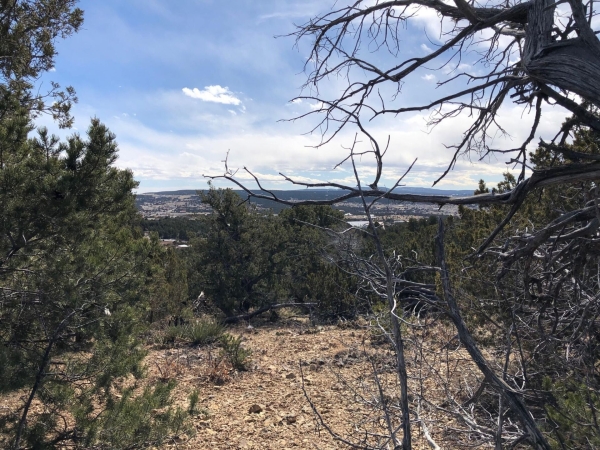 Listing Image #2 - Others for sale at 6 Joy Court, Sandia Park NM 87047 Listing Image #2 - Others for sale at 6 Joy Court, Sandia Park NM 87047