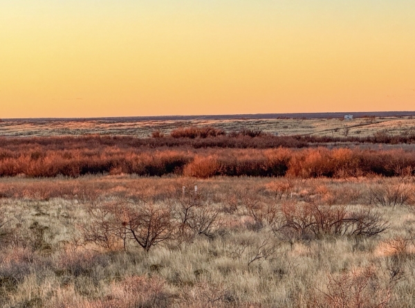 Listing Image #1 - Land for sale at SW Corner of Hwy 380 & County Road 595, Brownfield TX 79316