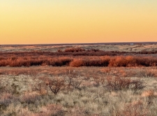 Land property for sale in Brownfield, TX