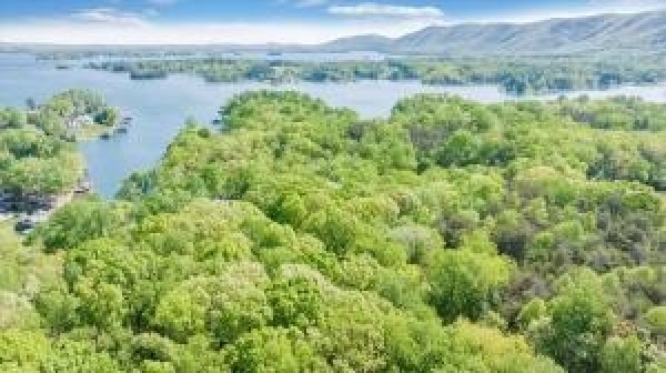 Listing Image #1 - Multi-family for sale at Lot 284 Cross Tower Dr, Penhook VA 24137