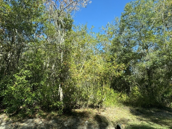 Listing Image #1 - Land for sale at Indian Street, Bay Saint Louis MS 39520