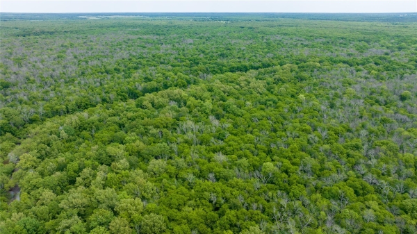 Listing Image #3 - Land for sale at 00 CR 4630, Annona TX 75550