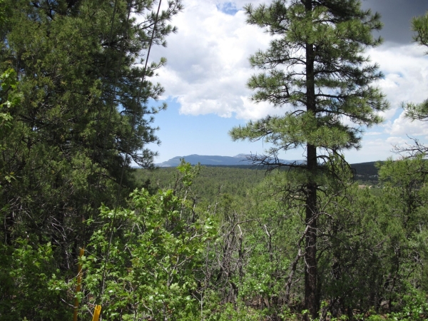 Listing Image #1 - Others for sale at 20 Estrella Vista Drive, Tijeras NM 87059 Listing Image #1 - Others for sale at 20 Estrella Vista Drive, Tijeras NM 87059