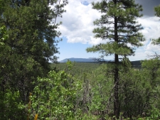 Listing Image #1 - Others for sale at 20 Estrella Vista Drive, Tijeras NM 87059