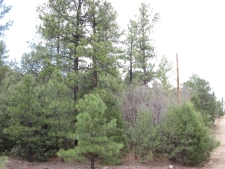 Listing Image #2 - Others for sale at 20 Estrella Vista Drive, Tijeras NM 87059