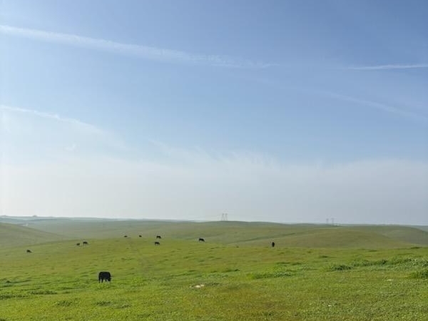 Listing Image #2 - Land for sale at Kings Rd, Lost Hills CA 93249 Listing Image #2 - Land for sale at Kings Rd, Lost Hills CA 93249