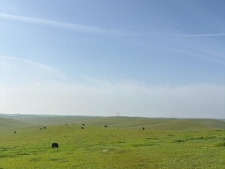 Listing Image #2 - Land for sale at Kings Rd, Lost Hills CA 93249