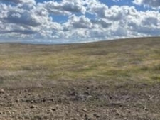 Listing Image #3 - Land for sale at Kings Rd, Lost Hills CA 93249