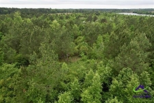 Listing Image #2 - Land for sale at 43 acres Chester Alamo Hwy, Chester GA 31012
