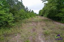 Listing Image #3 - Land for sale at 43 acres Chester Alamo Hwy, Chester GA 31012