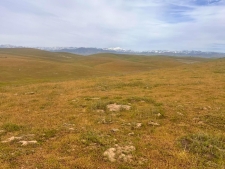 Listing Image #2 - Land for sale at Sherwood Ave, Mcfarland CA 93250