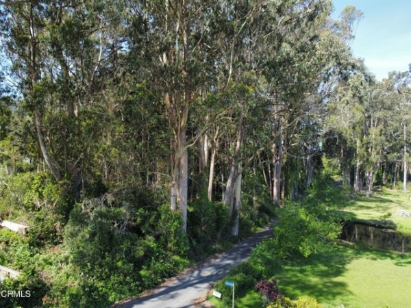 Listing Image #3 - Land for sale at 32021 Boice Lane, Frtb CA 95437 Listing Image #3 - Land for sale at 32021 Boice Lane, Frtb CA 95437