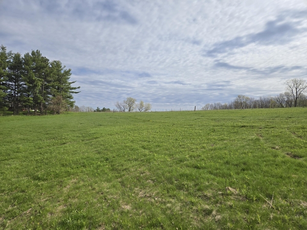 Listing Image #1 - Land for sale at 00 Nessett Rd, Coon WI 54667 Listing Image #1 - Land for sale at 00 Nessett Rd, Coon WI 54667