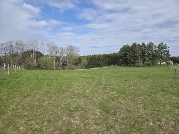 Listing Image #2 - Land for sale at 00 Nessett Rd, Coon WI 54667 Listing Image #2 - Land for sale at 00 Nessett Rd, Coon WI 54667