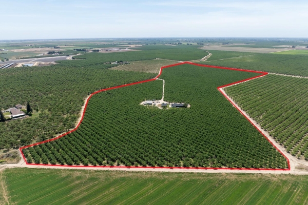 Listing Image #2 - Land for sale at 11716 Amsterdam Road, Winton CA 95388