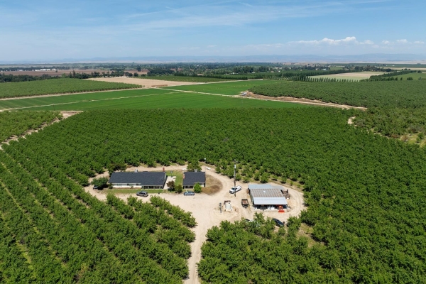 Listing Image #3 - Land for sale at 11716 Amsterdam Road, Winton CA 95388