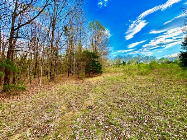 Listing Image #2 - Land for sale at 37 Acres Acree Road, Maynard AR 72444 Listing Image #2 - Land for sale at 37 Acres Acree Road, Maynard AR 72444