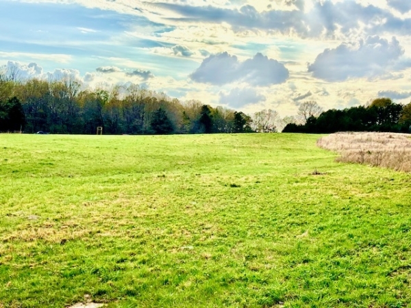 Listing Image #3 - Land for sale at 37 Acres Acree Road, Maynard AR 72444 Listing Image #3 - Land for sale at 37 Acres Acree Road, Maynard AR 72444