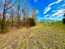 Listing Image #2 - Land for sale at 37 Acres Acree Road, Maynard AR 72444