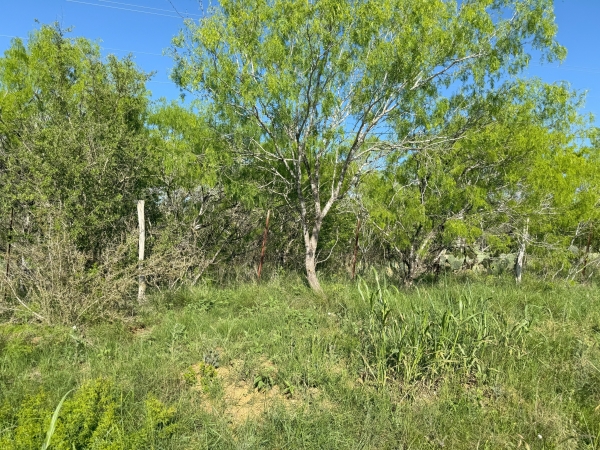Listing Image #2 - Land for sale at 1001 W West, Stockdale TX 78160 Listing Image #2 - Land for sale at 1001 W West, Stockdale TX 78160