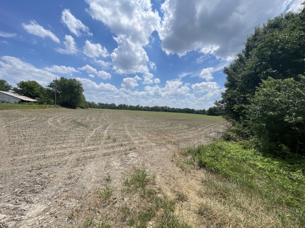 Listing Image #3 - Land for sale at TBD Old Bainbridge Rd, Marion IL 62959 Listing Image #3 - Land for sale at TBD Old Bainbridge Rd, Marion IL 62959
