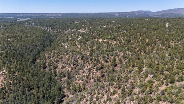 Listing Image #3 - Land for sale at 275 Logging Trail 151, Durango CO 81303 Listing Image #3 - Land for sale at 275 Logging Trail 151, Durango CO 81303