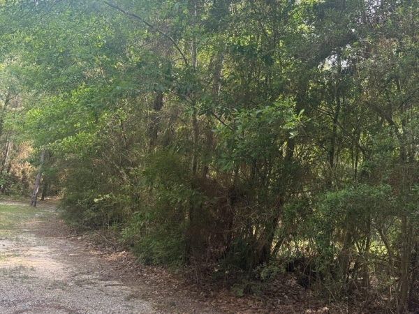 Listing Image #1 - Land for sale at 0 16th Section Road, Pass Christian MS 39571 Listing Image #1 - Land for sale at 0 16th Section Road, Pass Christian MS 39571