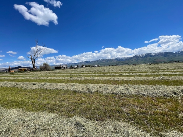 Listing Image #1 - Land for sale at 750 N Main, Lewiston UT 84320 Listing Image #1 - Land for sale at 750 N Main, Lewiston UT 84320