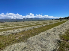 Listing Image #2 - Land for sale at 750 N Main, Lewiston UT 84320