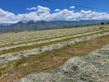 Listing Image #3 - Land for sale at 750 N Main, Lewiston UT 84320