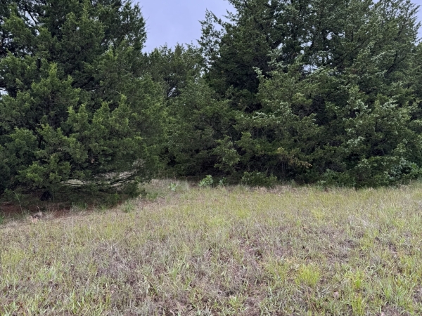 Listing Image #3 - Land for sale at Tract 2 Lot 8 Kelowna Park, Stillwater OK 74074 Listing Image #3 - Land for sale at Tract 2 Lot 8 Kelowna Park, Stillwater OK 74074