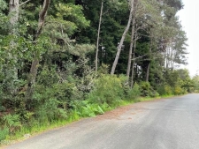 Listing Image #2 - Land for sale at Amethyst Street, Frtb CA 95437