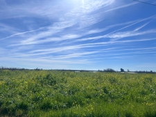 Listing Image #2 - Land for sale at SE Avenue 88 Avenue Se, Terra Bella CA 93270