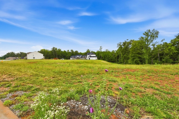 Listing Image #3 - Land for sale at 705 Sandringham Ct, Clarksville TN 37043 Listing Image #3 - Land for sale at 705 Sandringham Ct, Clarksville TN 37043