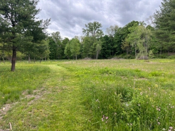 Listing Image #3 - Land for sale at 342 Bantam Road, Litchfield CT 06759 Listing Image #3 - Land for sale at 342 Bantam Road, Litchfield CT 06759