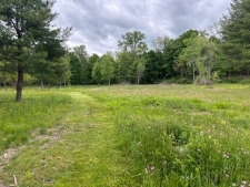 Listing Image #3 - Land for sale at 342 Bantam Road, Litchfield CT 06759