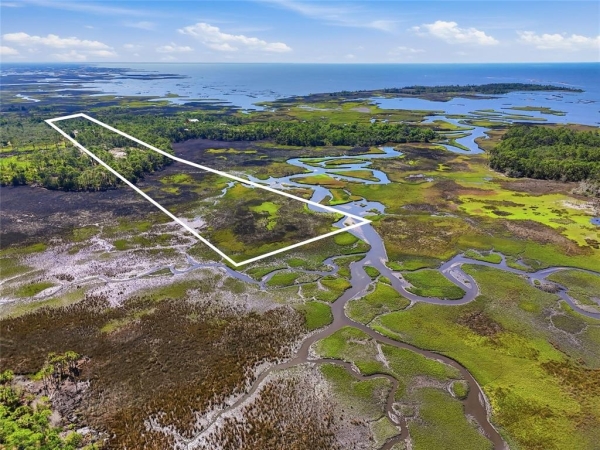 Listing Image #1 - Land for sale at TBD State Road 24, Cedar Key FL 32625