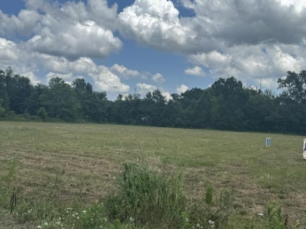 Listing Image #1 - Land for sale at 000 Hwy. 62, Orange TX 77632 Listing Image #1 - Land for sale at 000 Hwy. 62, Orange TX 77632