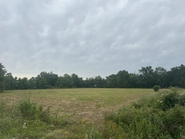 Listing Image #2 - Land for sale at 000 Hwy. 62, Orange TX 77632 Listing Image #2 - Land for sale at 000 Hwy. 62, Orange TX 77632